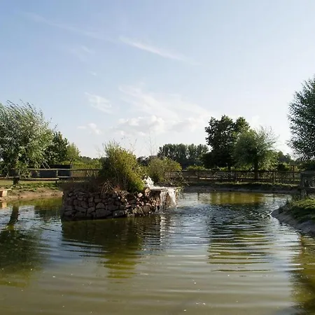 El Abejal *